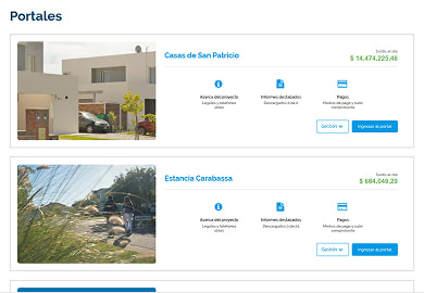 Eidico dashboard listing projects and their portals