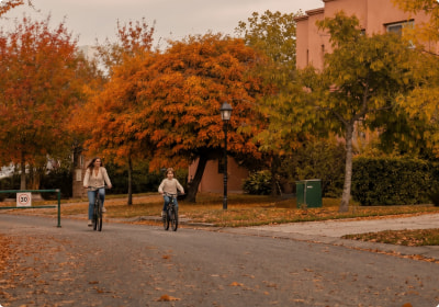 Families walking along tree-lined neighborhood streets in autumn